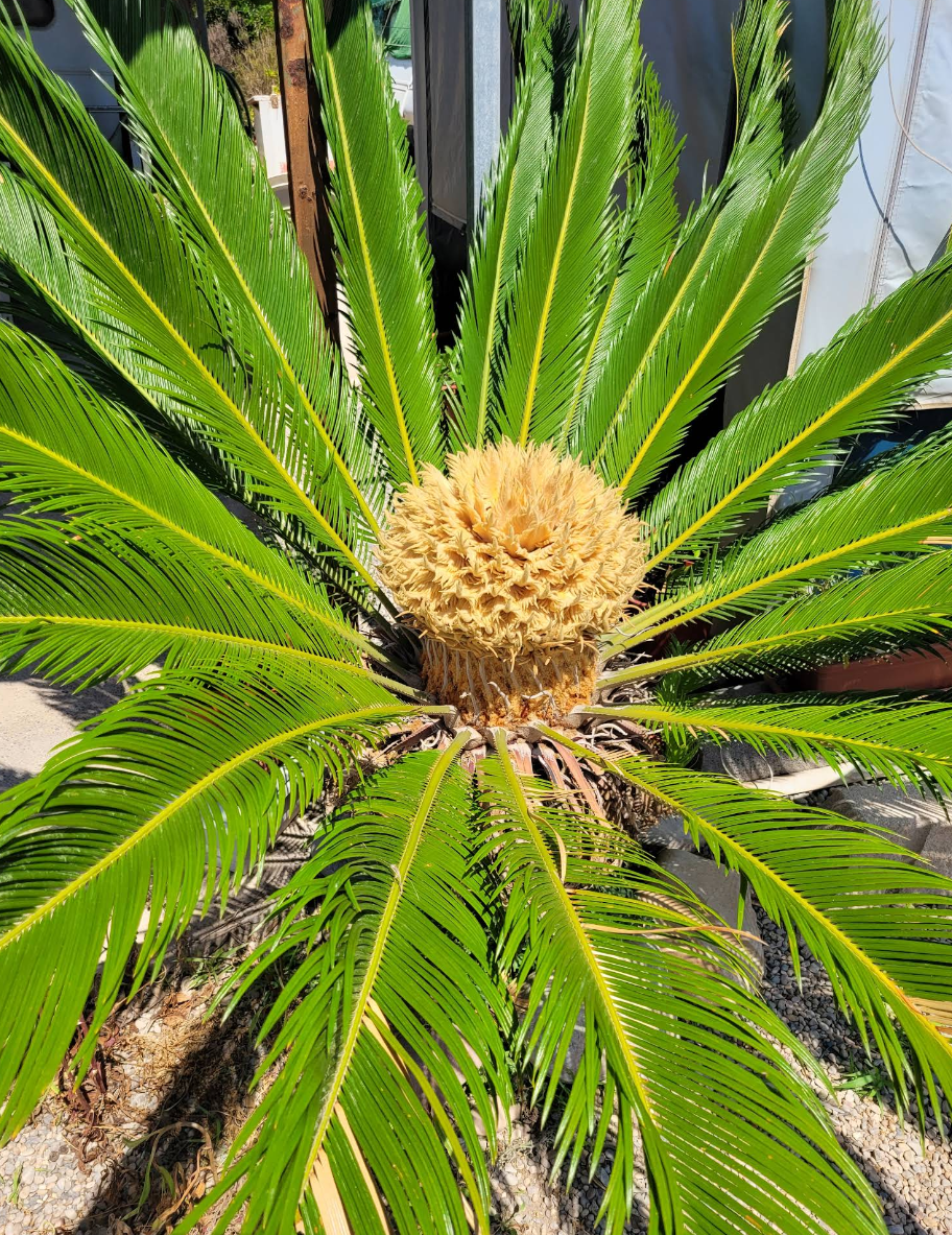Galería 8